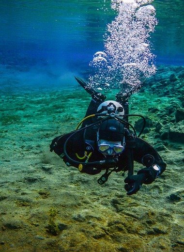 galapagos last minute agency diving tours